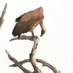 Photo taken by Paul B