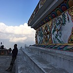 A well earnedTTaking a well earned rest by the stup | Photo taken by Narelle B