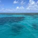 Photo taken by Rosemary S