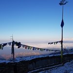 Photo taken by Amy S