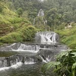 Photo taken by Bincy P