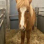 Photo taken by Paula M