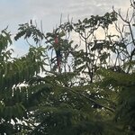 Photo taken by Jacqueline R