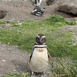 Photo taken by Yelena L