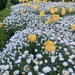 Photo taken by Gary G