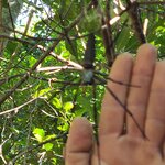 Photo taken by Maggie W