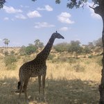 Photo taken by Kristin M