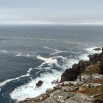 Photo taken by Danielle P