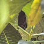 Photo taken by Martin L