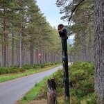 Photo taken by Alicia T