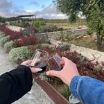 Photo taken by Katie S