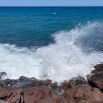 Photo taken by Braedon G