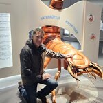 Photo taken by Linda W