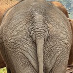 Photo taken by Felice Z