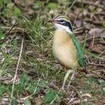 Photo taken by Graham D