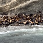 Photo taken by John L