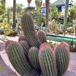 Photo taken by Jackie O