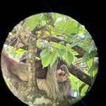 Photo taken by Natasha J