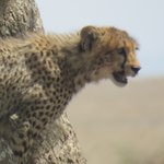 Photo taken by Kristin M