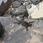 Photo taken by mimi s