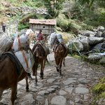 Photo taken by Brian U