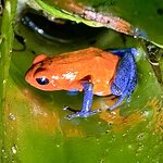 Photo taken by Ben B