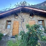 Photo taken by Jill T