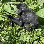 Photo taken by Julien C