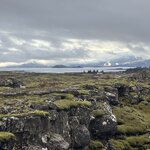 Photo taken by Meg K