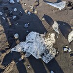 Photo taken by Johnna T