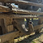 Photo taken by Megan H