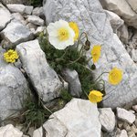 Photo taken by Kelly W