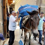 Photo taken by Julie A