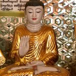 Photo taken by shelly s