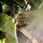 Photo taken by Ben B