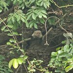 Photo taken by Touraj K