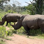 Photo taken by Michael L