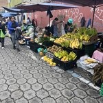 Photo taken by Vicki Lynn M