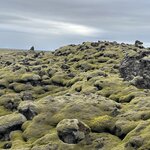 Photo taken by Janet M