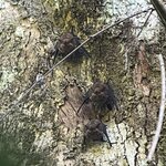 Photo taken by Chris G