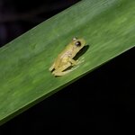 Photo taken by rebecca t