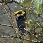 Photo taken by Steven C