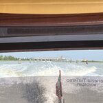 Photo taken by Susan S