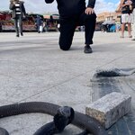 Photo taken by Paula F