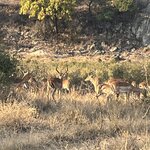 Photo taken by Janie W