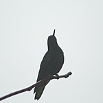 Photo taken by Marcia G