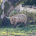 Photo taken by David L