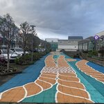 Photo taken by Sadhana K