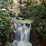 Photo taken by Mary D