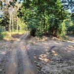 Photo taken by Cayden S